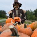 DIY Scarecrow Costumes