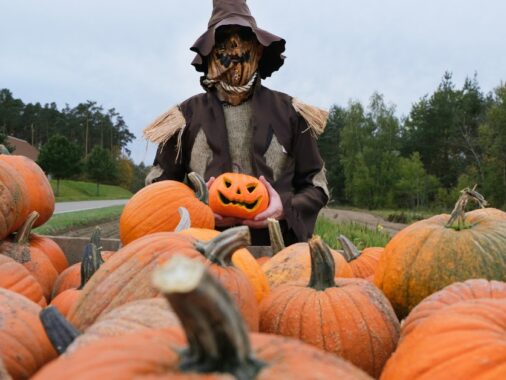 DIY Scarecrow Costumes