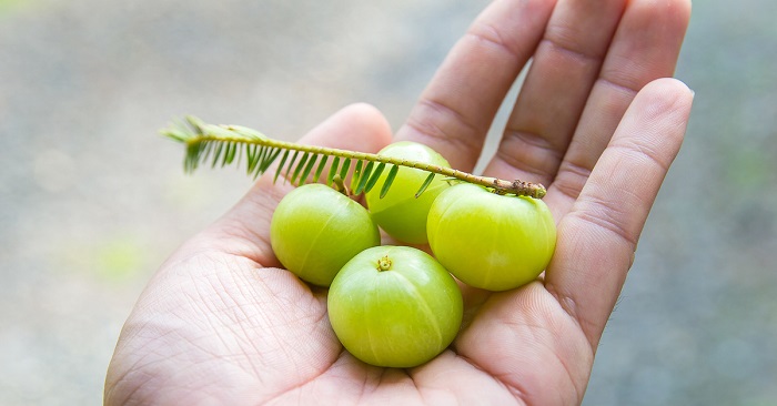 Indian gooseberry