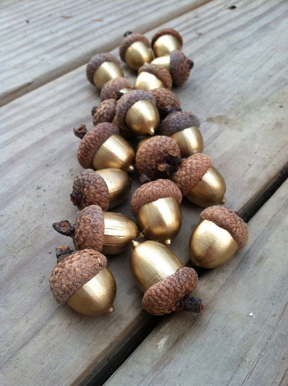 gilded acorns acorn crafts