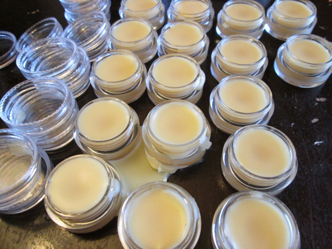 honeysuckle homemade lip balm