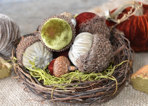 plush acorn nest